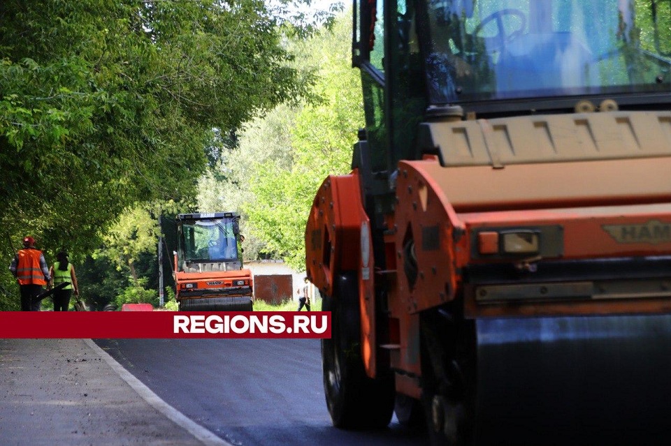 Фото: Светлана Плотникова