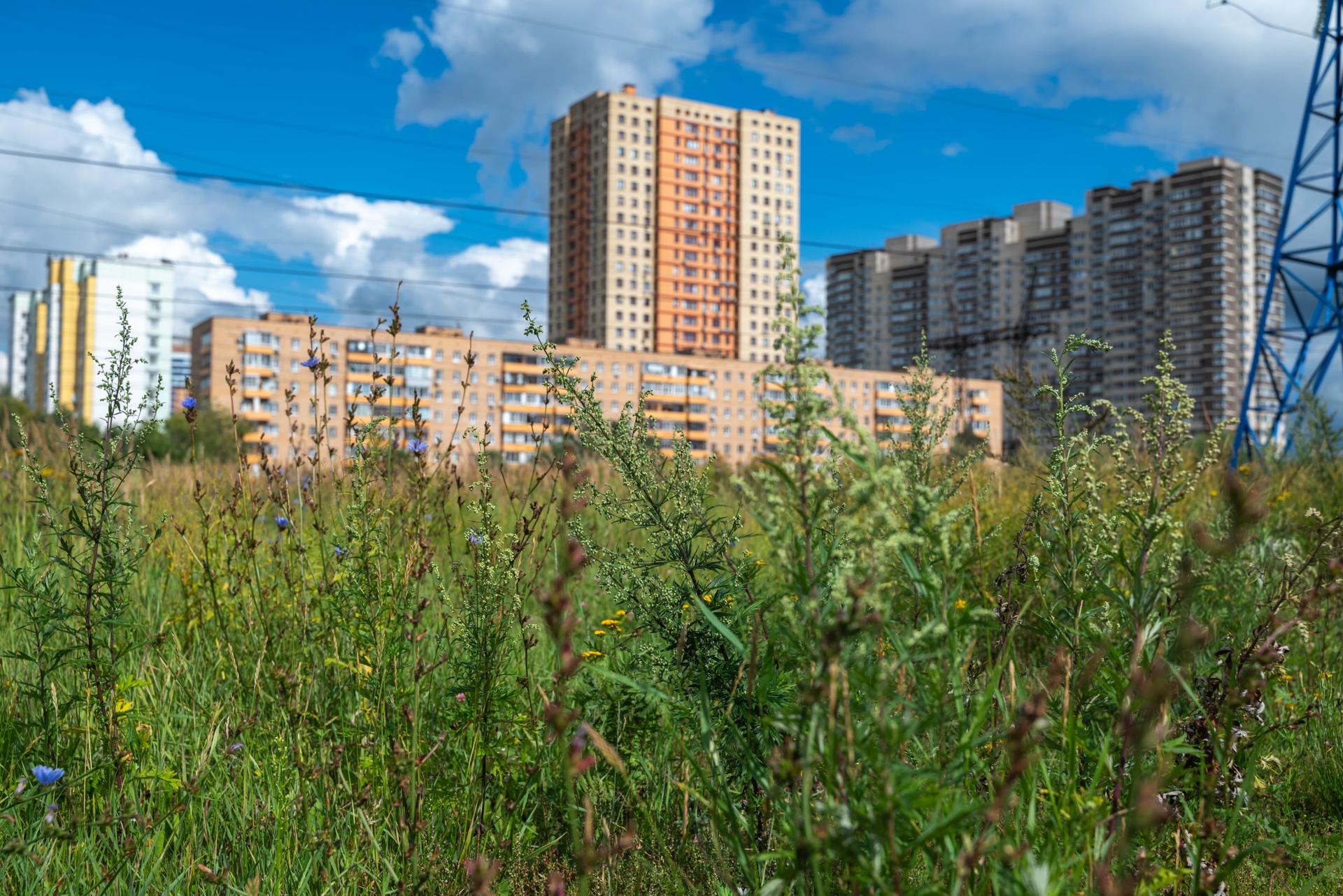 Фото: пресс-служба Администрации Реутова