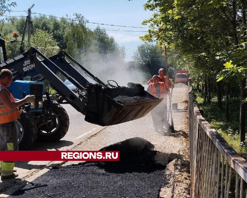 Фото: Светлана Плотникова