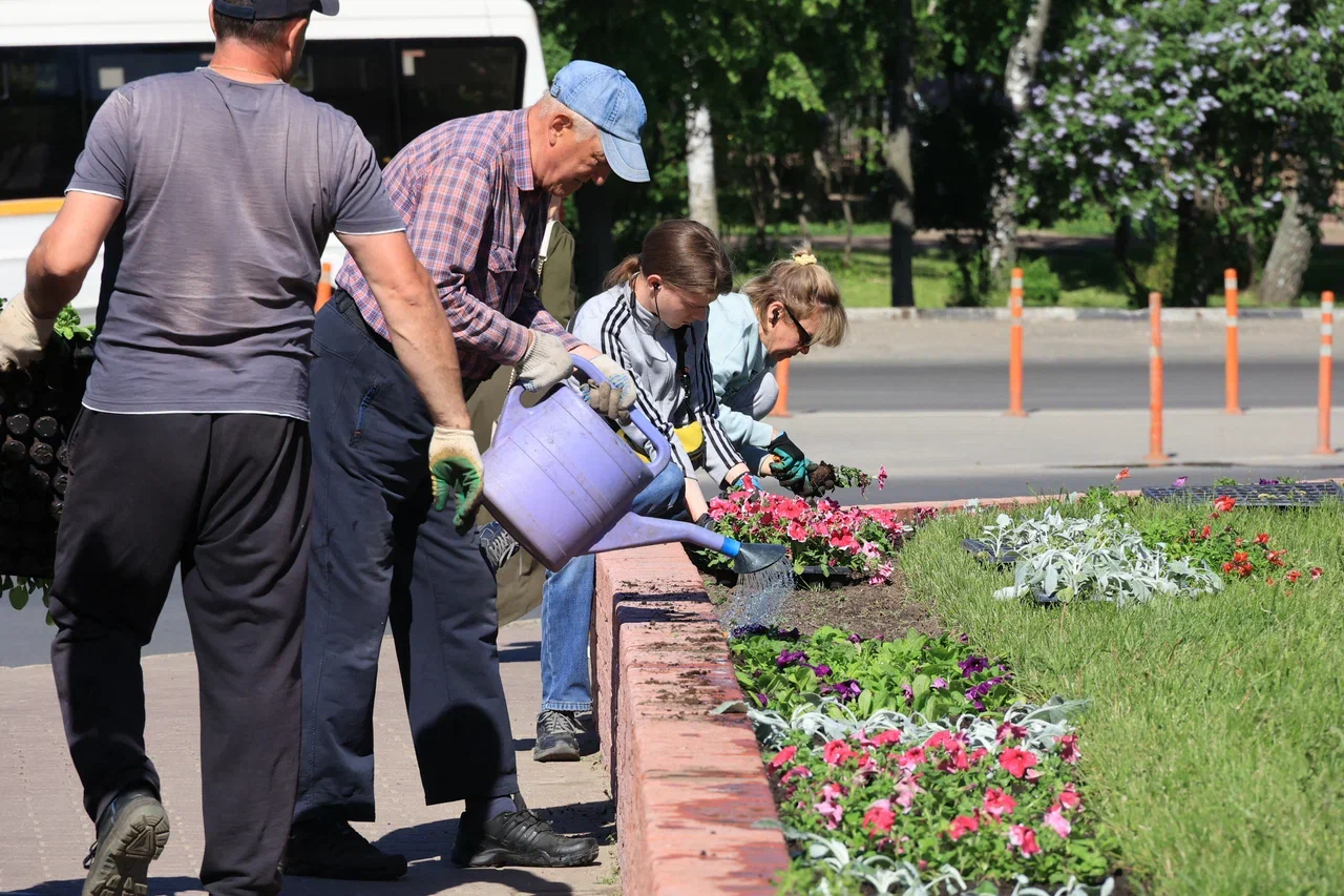 Фото: Алексей Грызлов