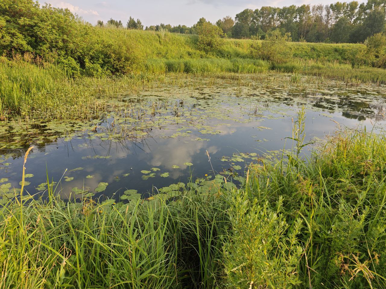 Фото: REGIONS/Дарья Кургузова