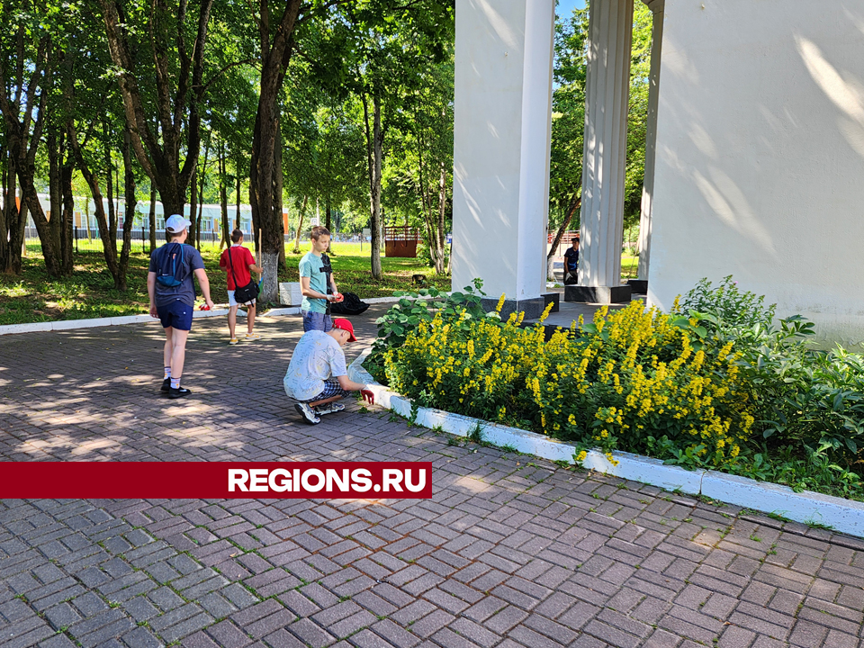 Фото: REGIONS/Екатерина Мелкозерова