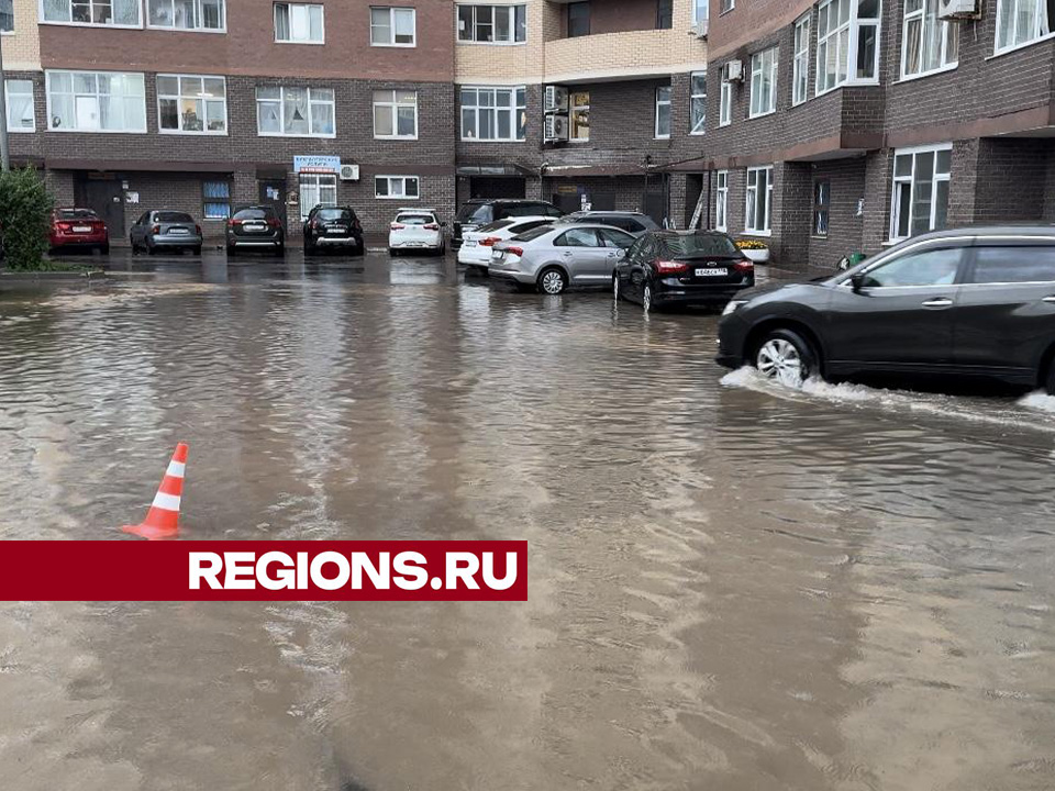 Фото: Евгения Герасимова 