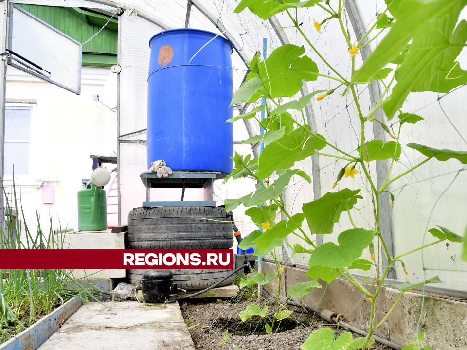 Фото: REGIONS/Наталья Бычкова