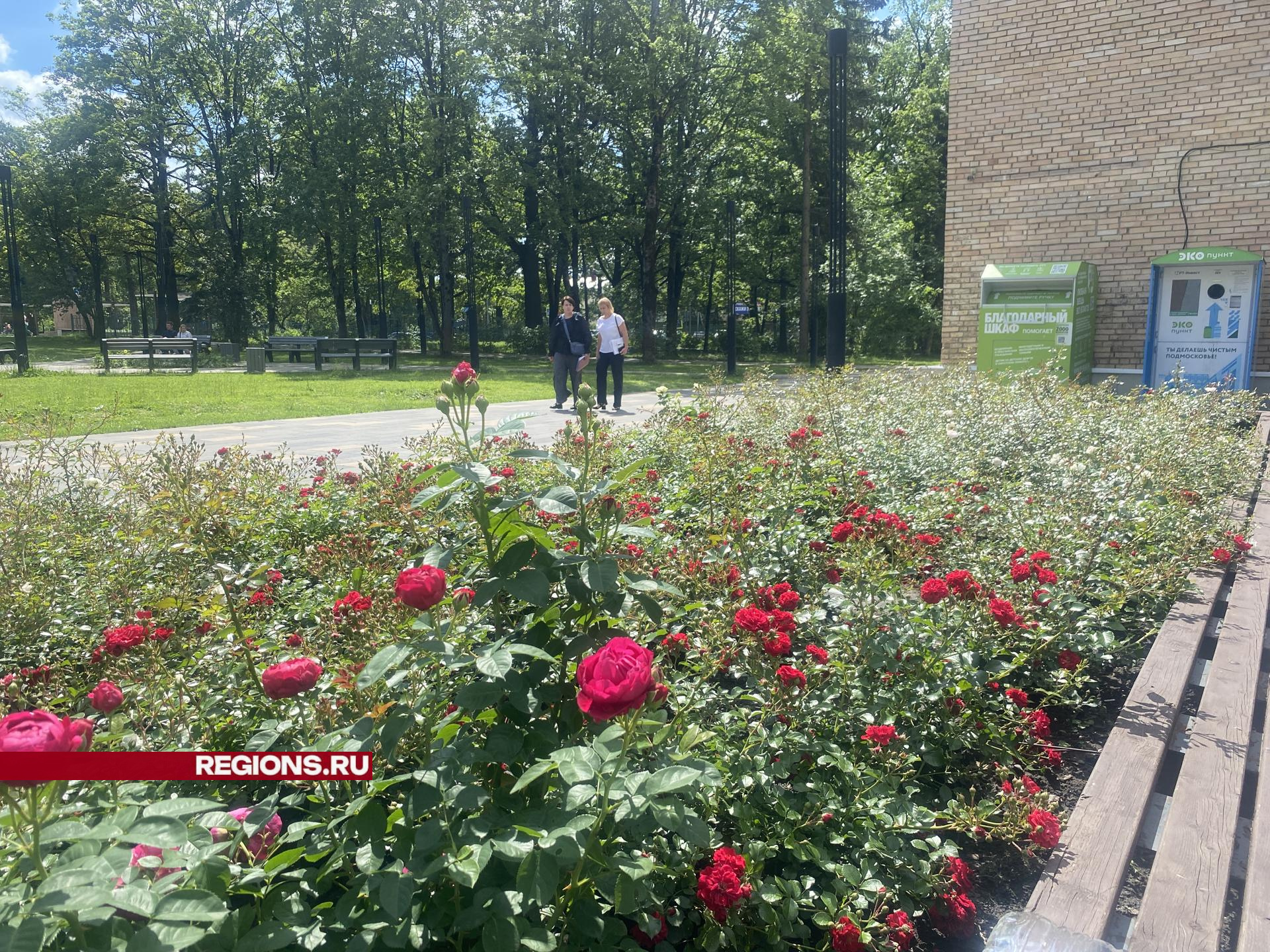 Фото: Елена Аботурова