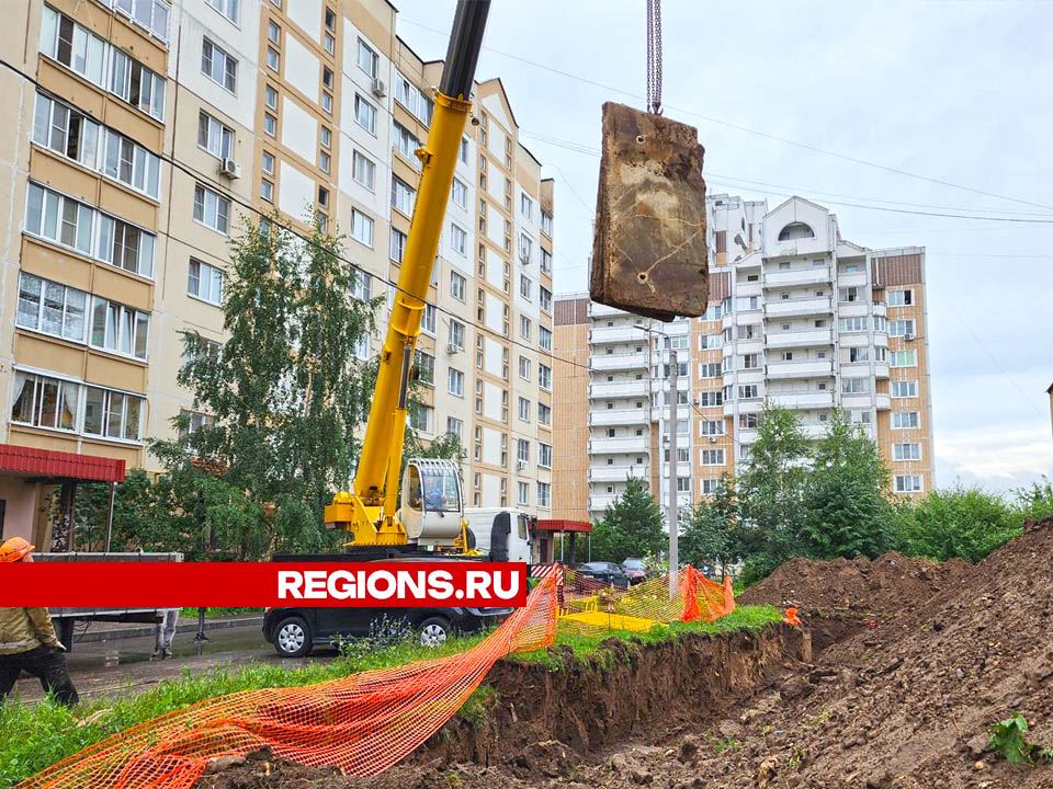 Фото: Валерия Тингаева