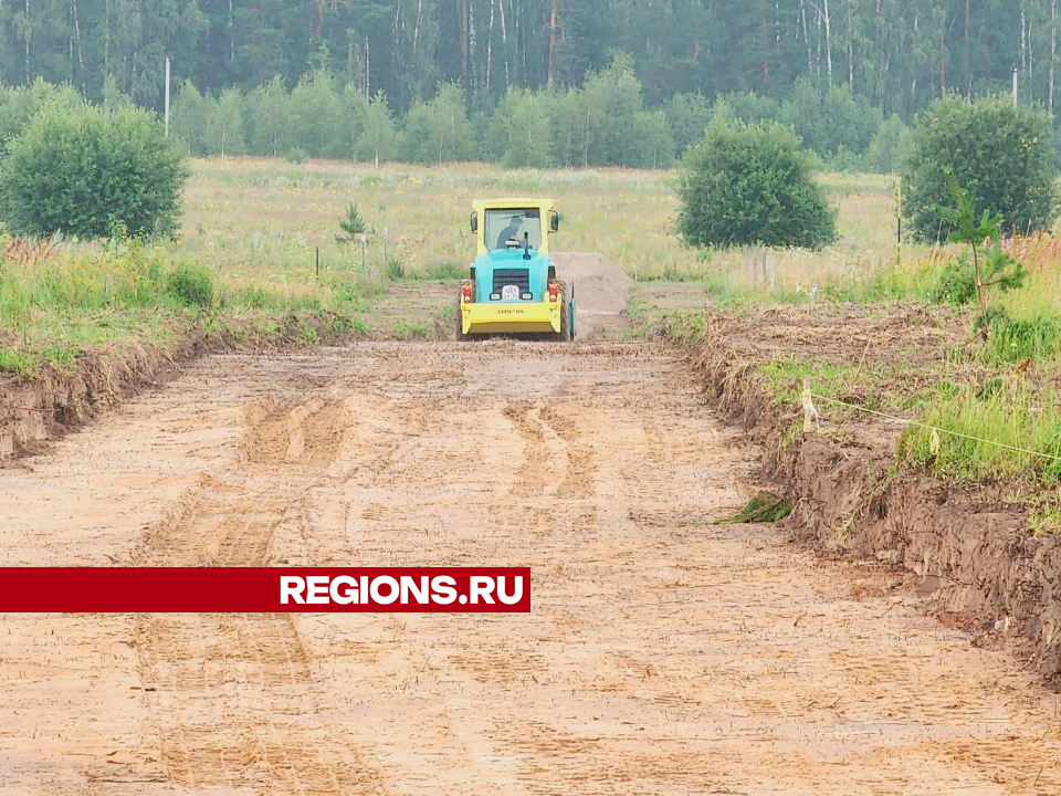 Фото: Юлия Андросова