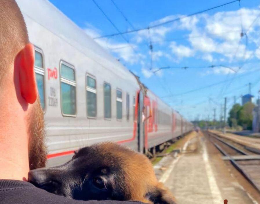 Фото: Росгвардия Московской области