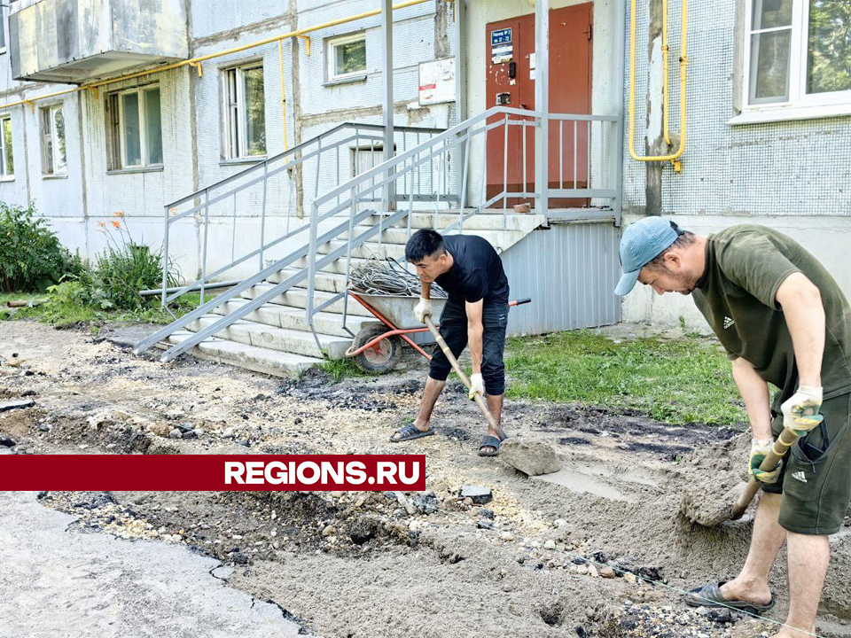 Фото: Елена Катасонова