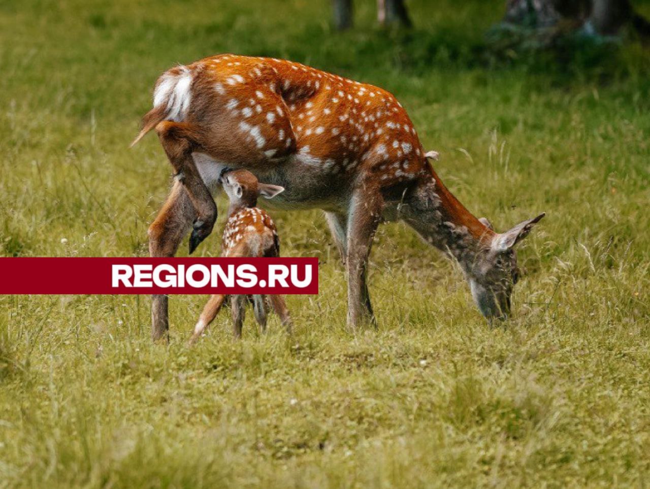 Фото: из личного архива Веретьево