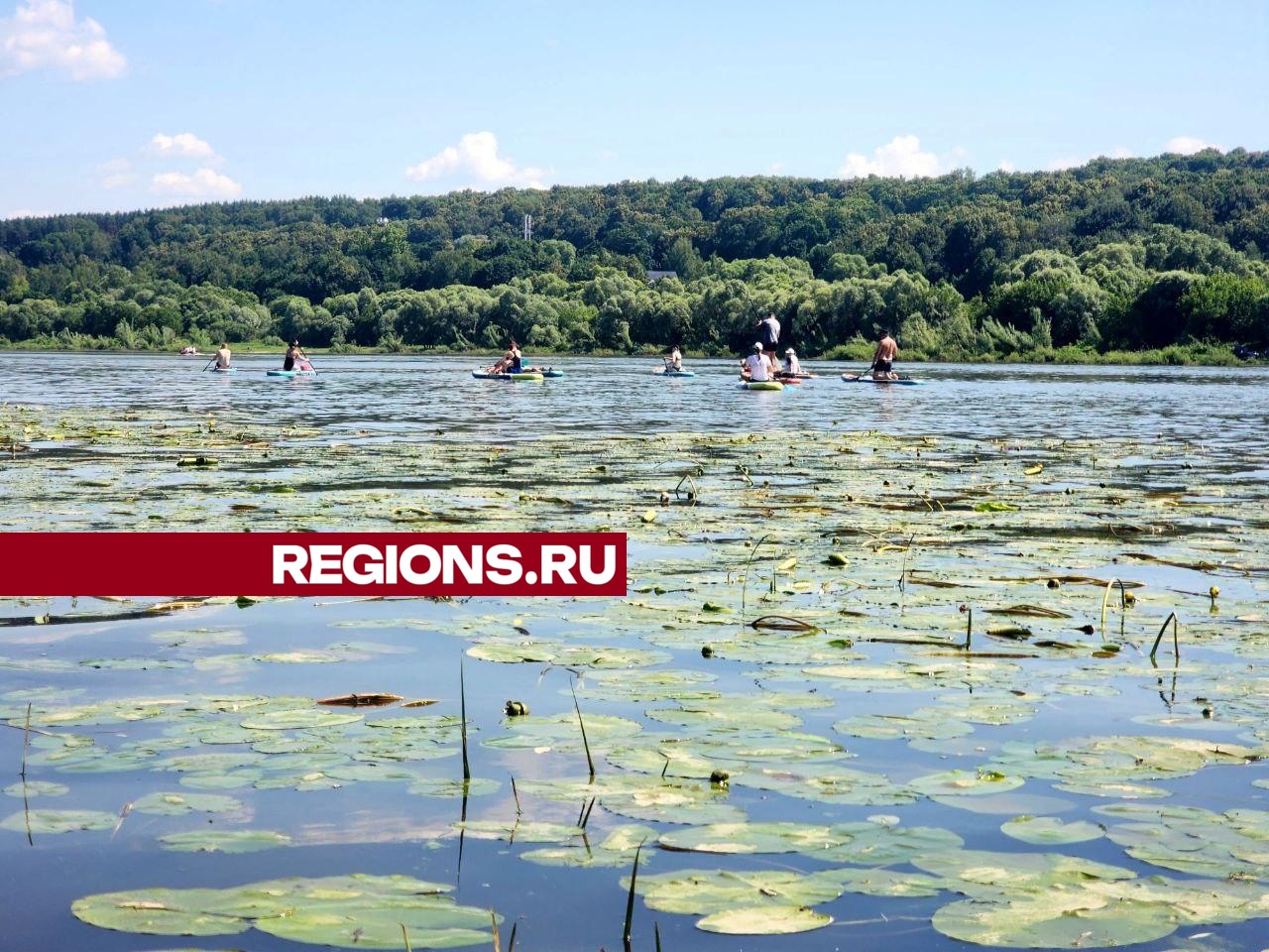 Фото: Мария Панина