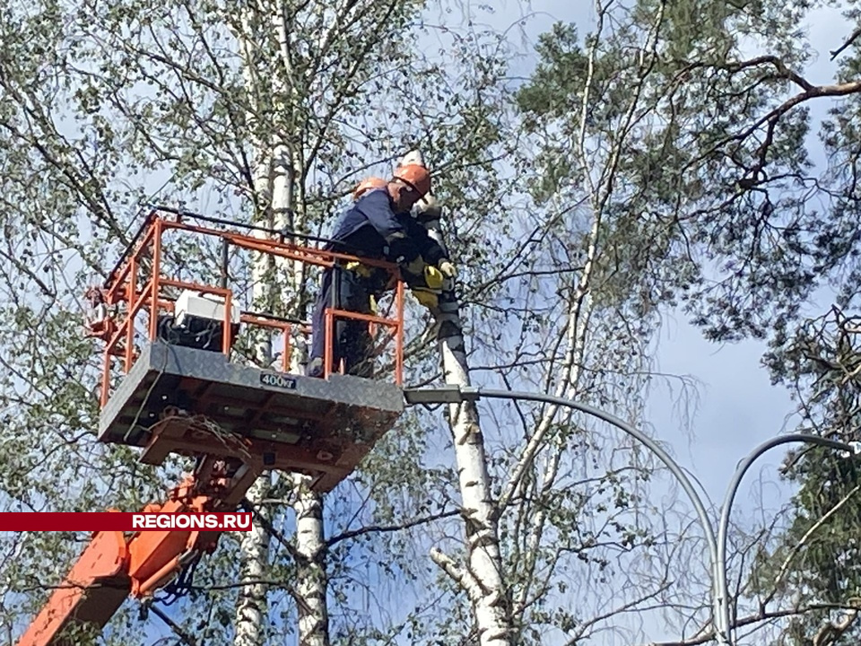 Фото: Елена Аботурова