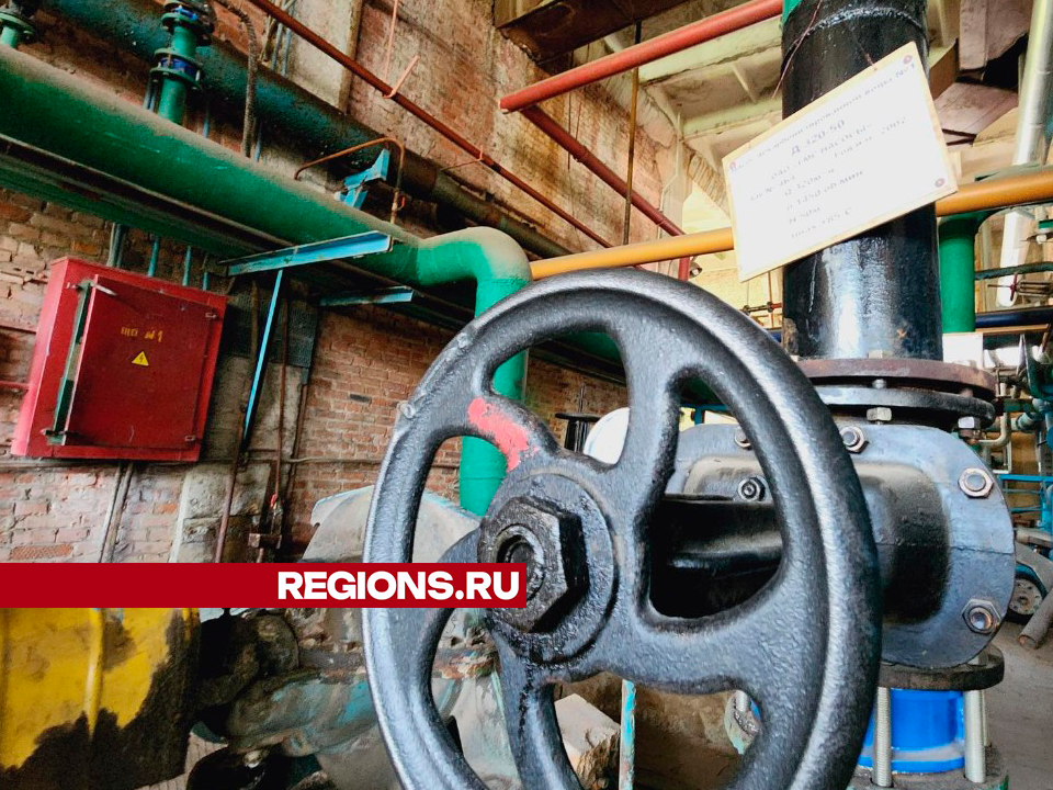 Фото: Юлия Андросова