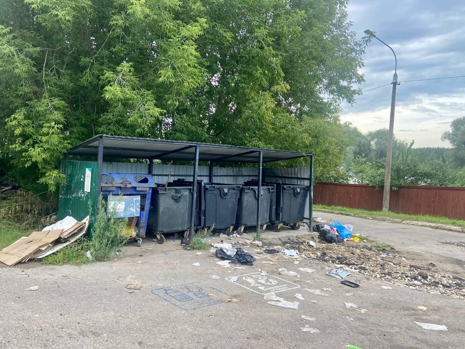 Фото: пресс-служба администрации Павлово-Посадского городского округа 