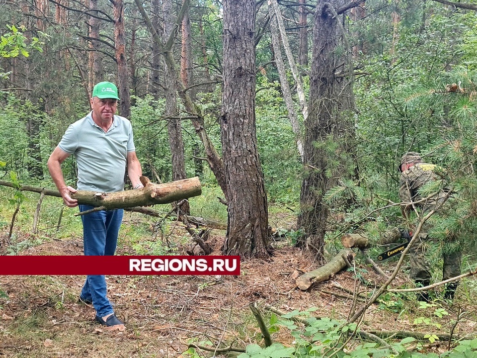 Фото: пресс-служба администрации городского округа Луховицы