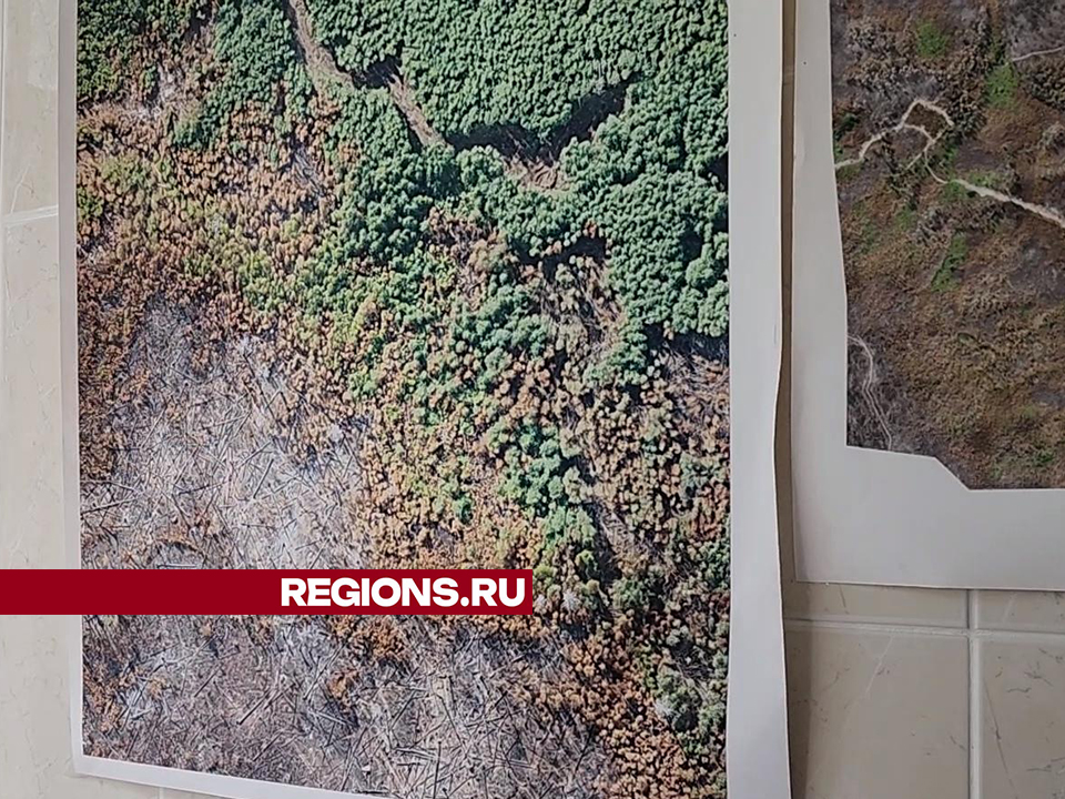 Фото: REGIONS/Роман Савельев