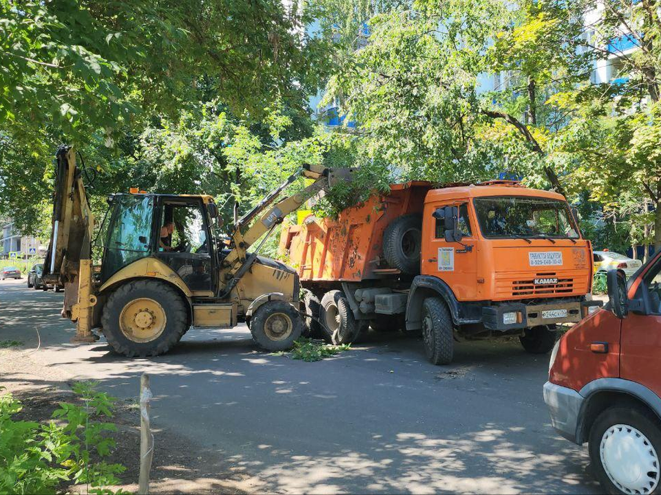 Фото: Наталья Лымарь