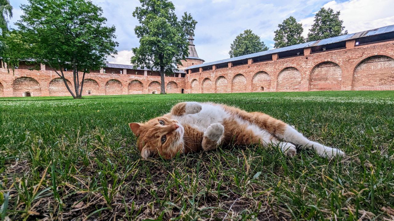 Фото: ГМЗ «Зарайский кремль»