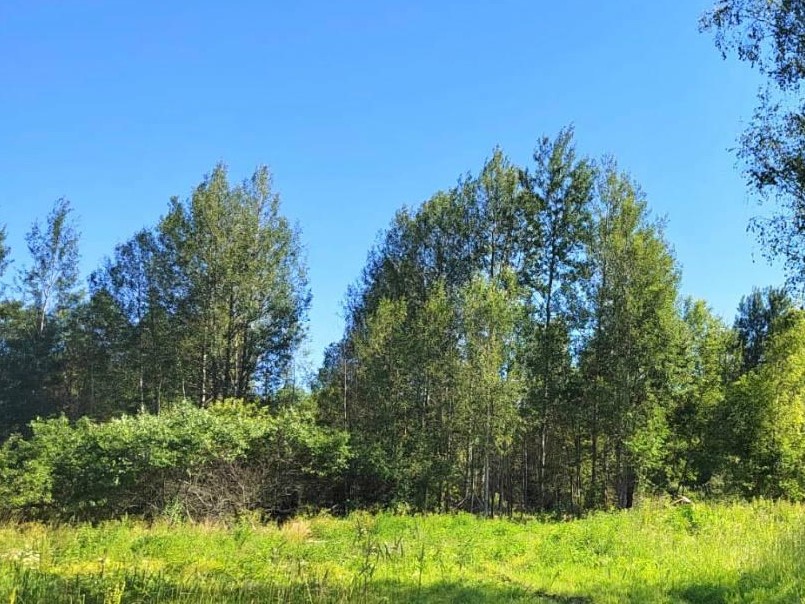 Фото: Мособлархитектура