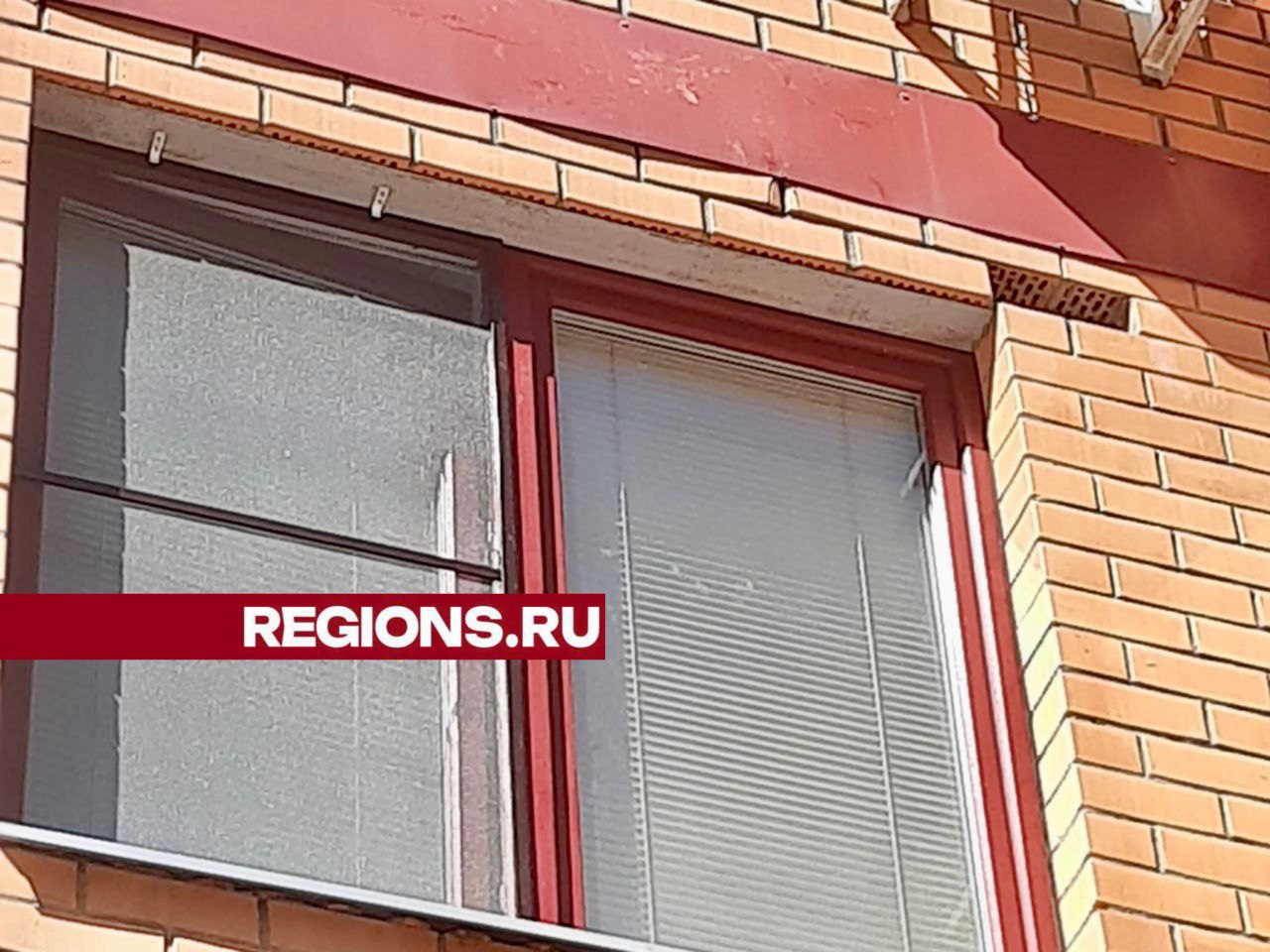 Фото: Дарья Недошивина