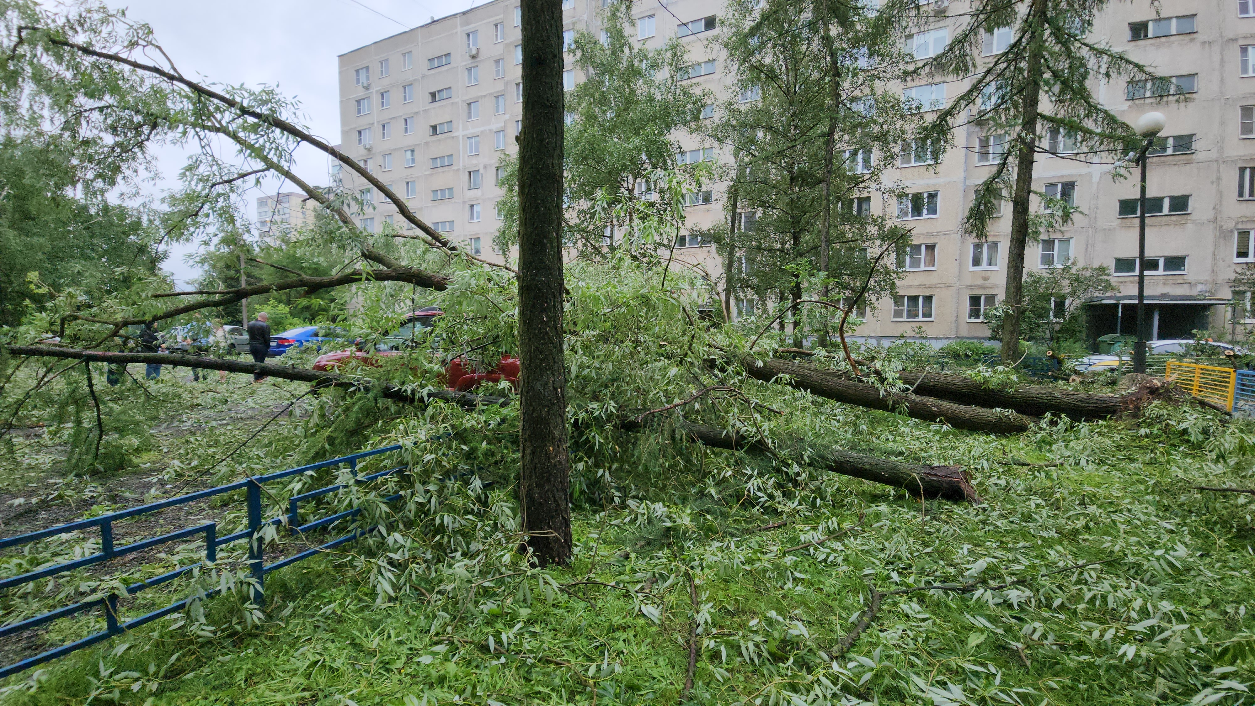 Фото: медиасток.рф