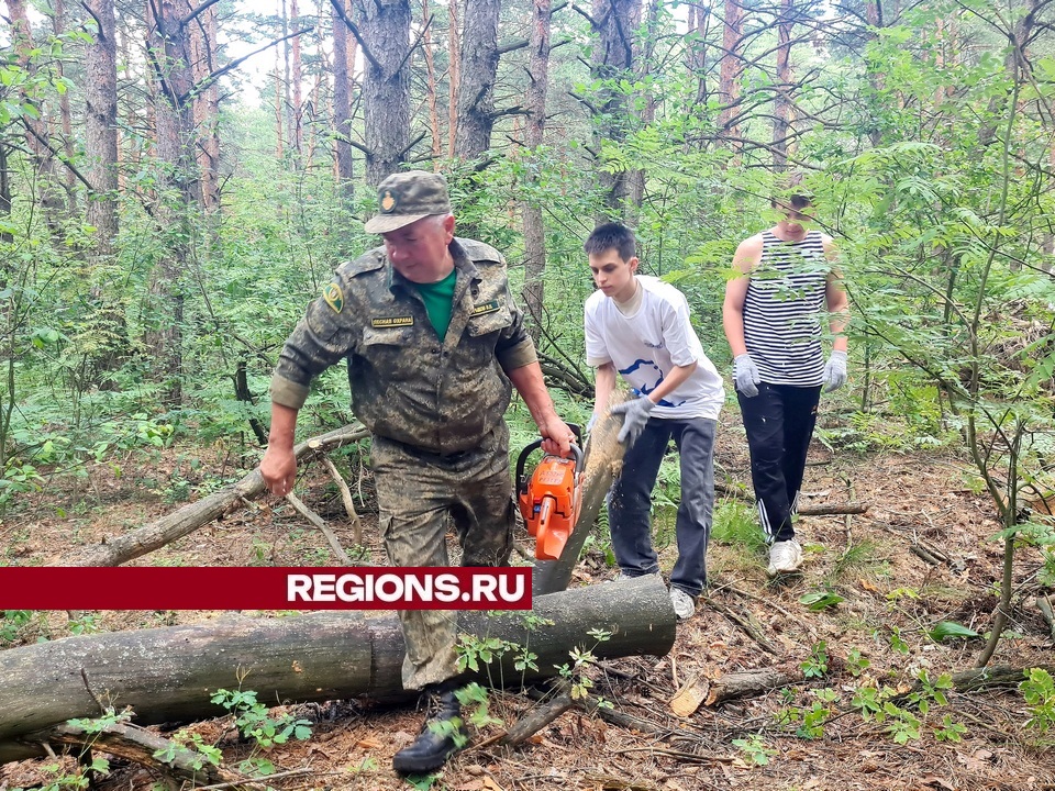 Фото: пресс-служба администрации городского округа Луховицы