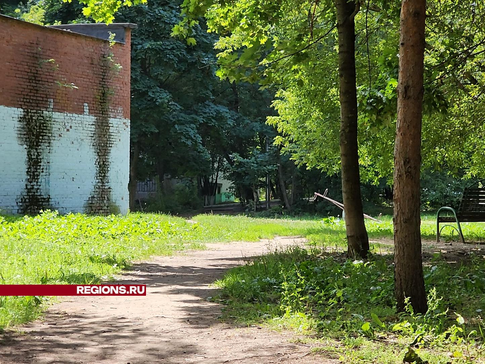 Фото: Никита Сморкалов