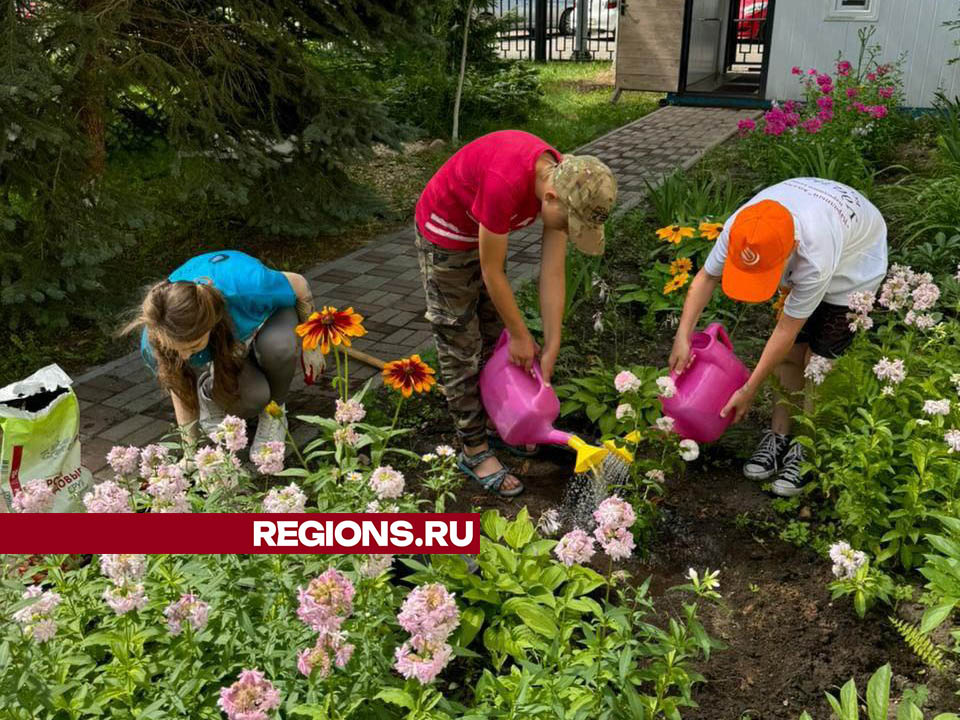 Фото: Валерия Тингаева