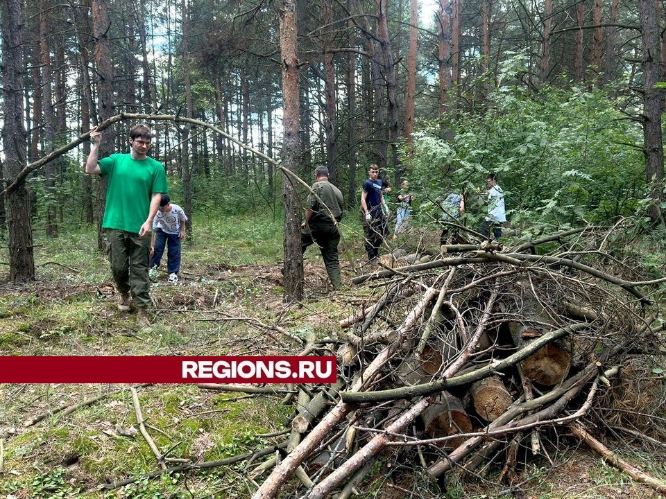 Фото: пресс-служба администрации городского округа Луховицы