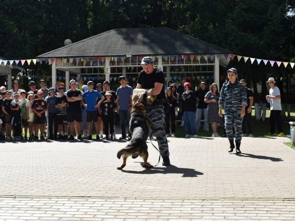 Фото: пресс-служба администрации г. о. Подольск