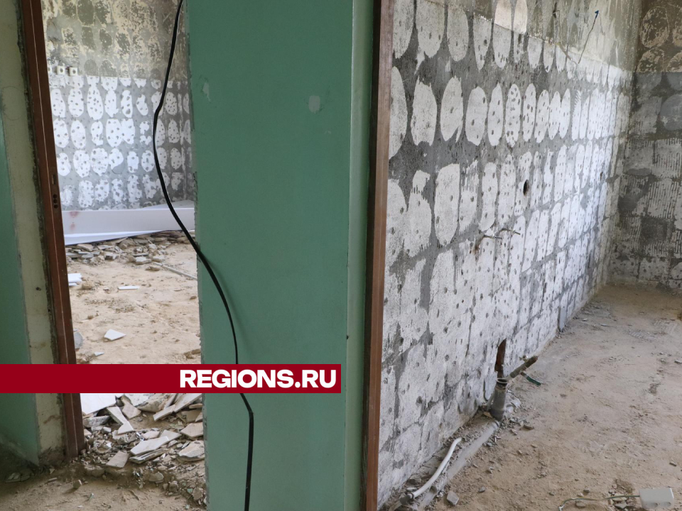 Фото: REGIONS/Ирина Матвеева