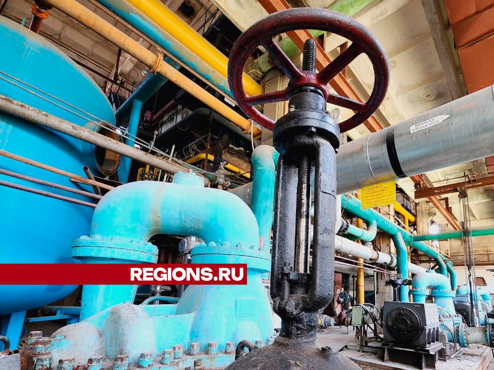 Фото: Юлия Андросова