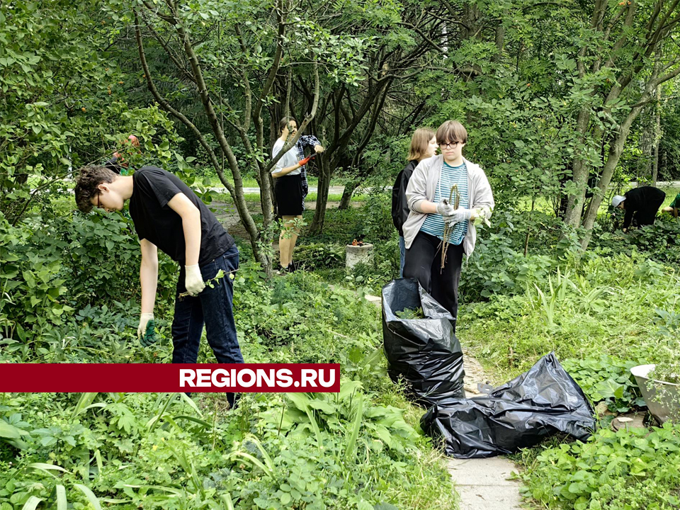 Фото: Елена Катасонова