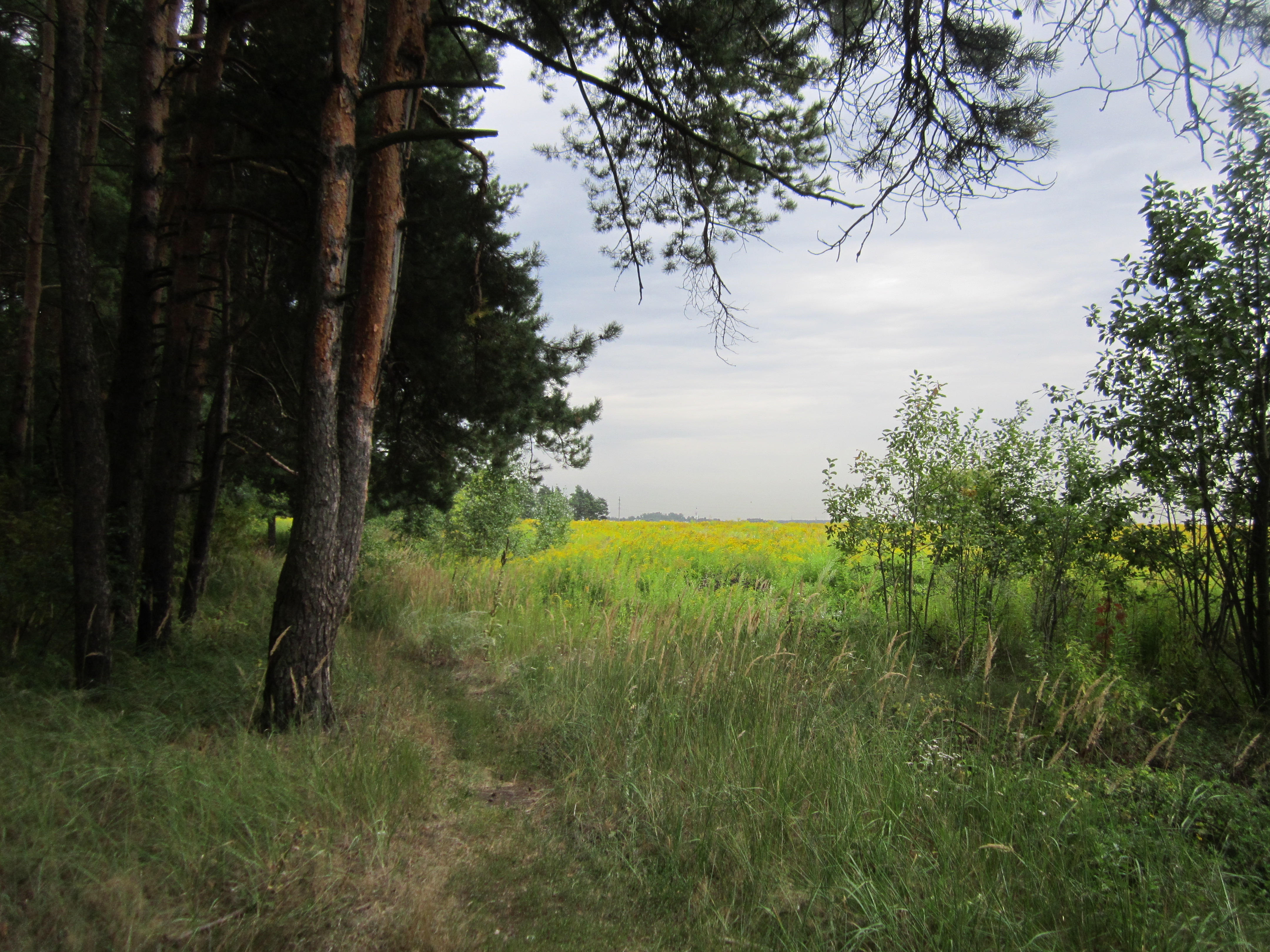 Фото: Олег Книжник