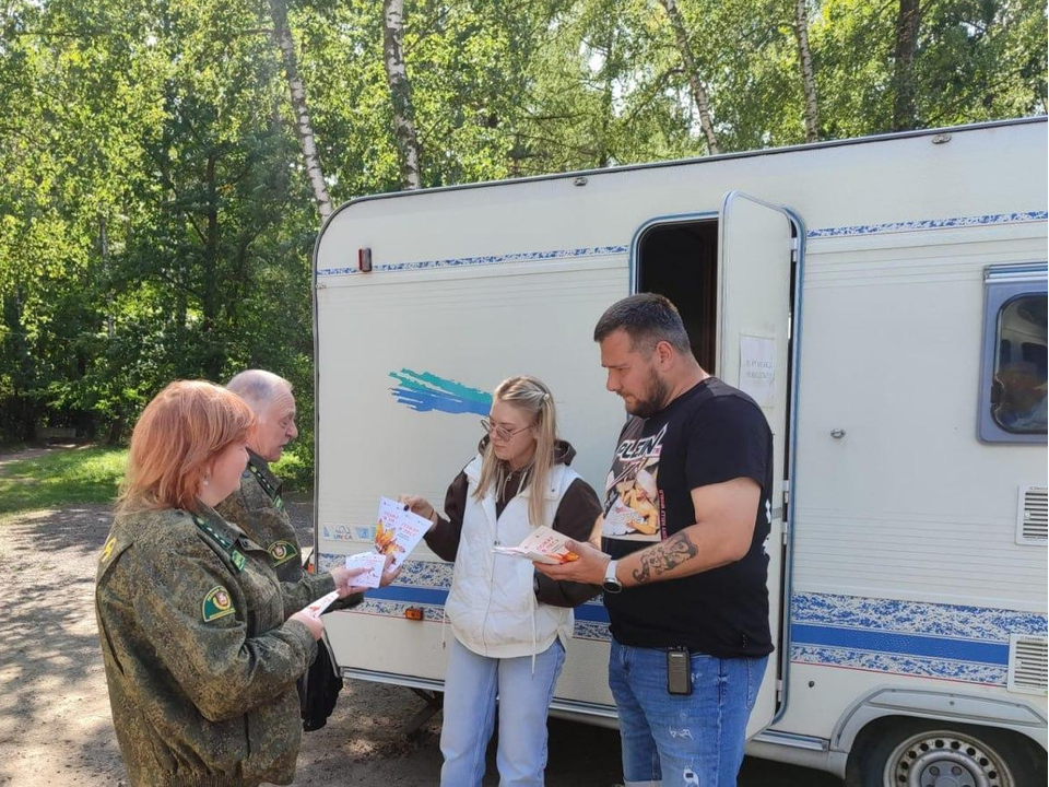 Фото: Комитет лесного хозяйства Московской области