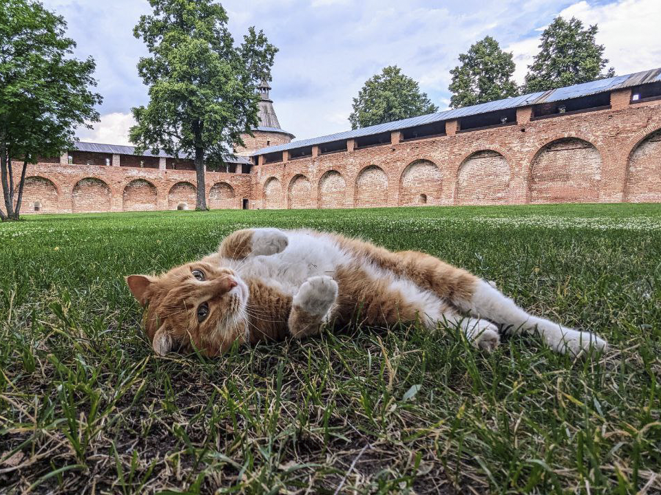 Фото: ГМЗ «Зарайский кремль»