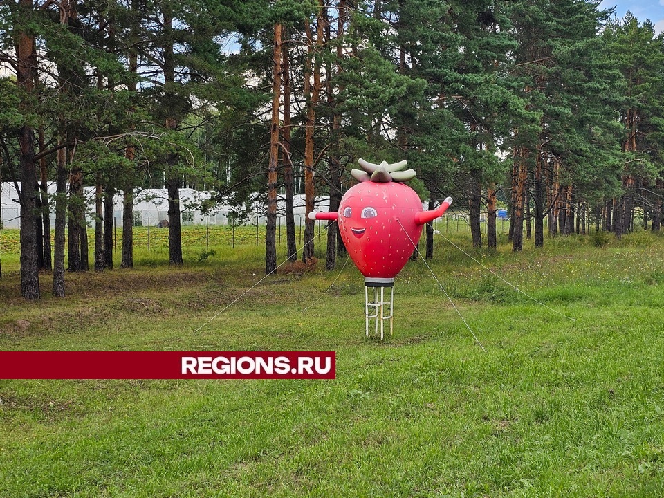 Фото: REGIONS/Александр Дрожжин