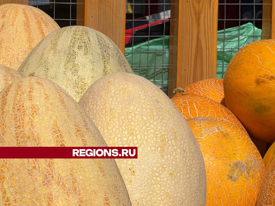 Фото: МедиаБанк Подмосковья/Валерия Ерофеева