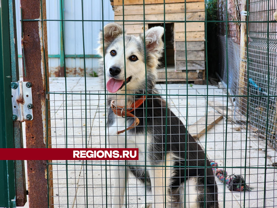 Фото: Мария Андрюхина