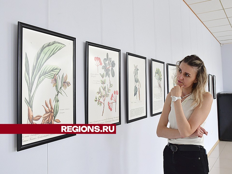 Фото: REGIONS/Наталья Бычкова