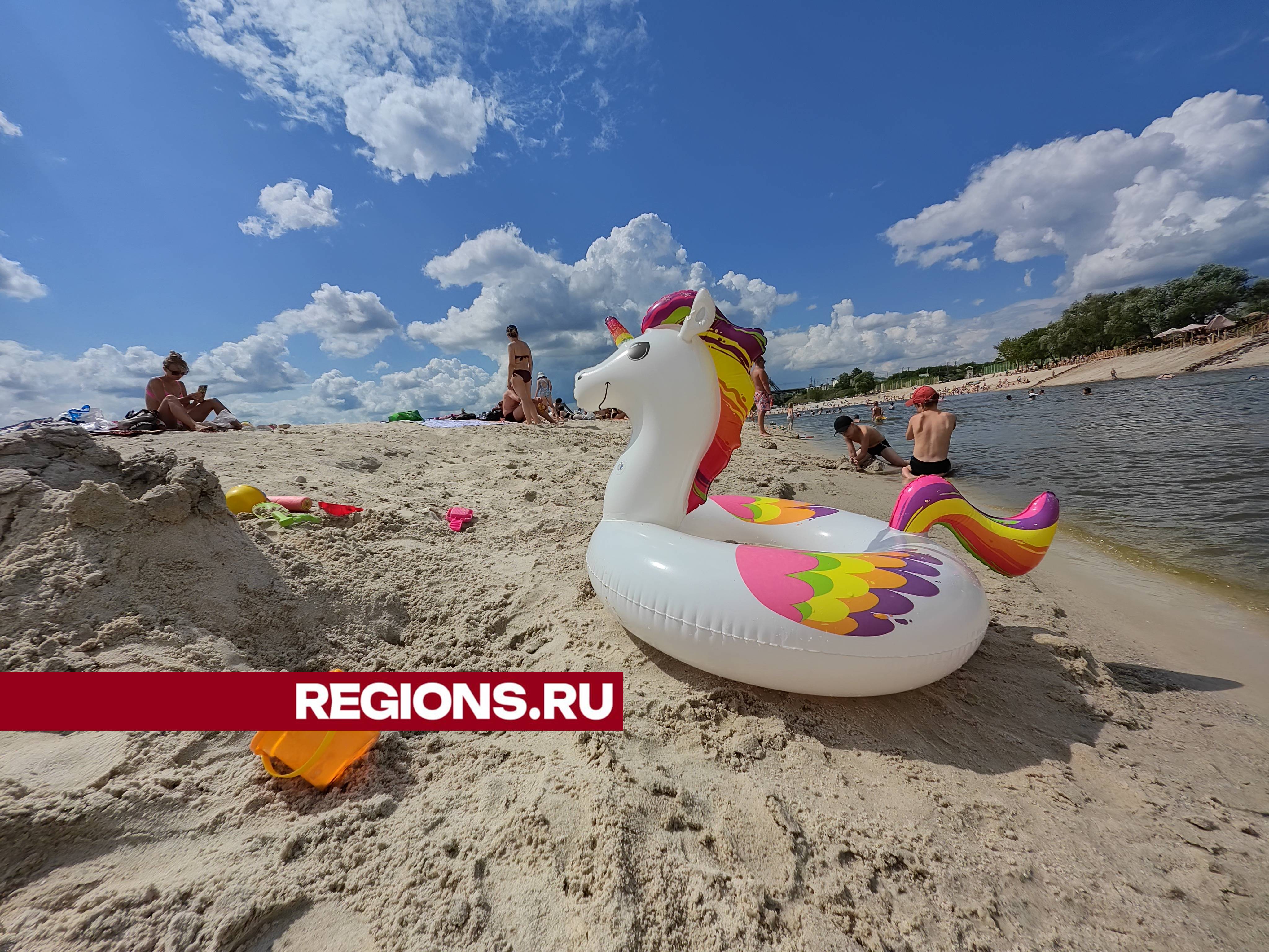 Фото: REGIONS/Алексей Селиверстов