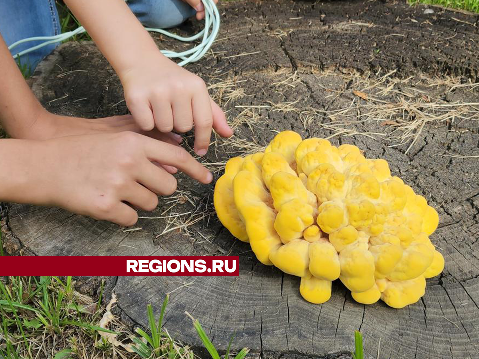 Фото: Андрей Семибратов