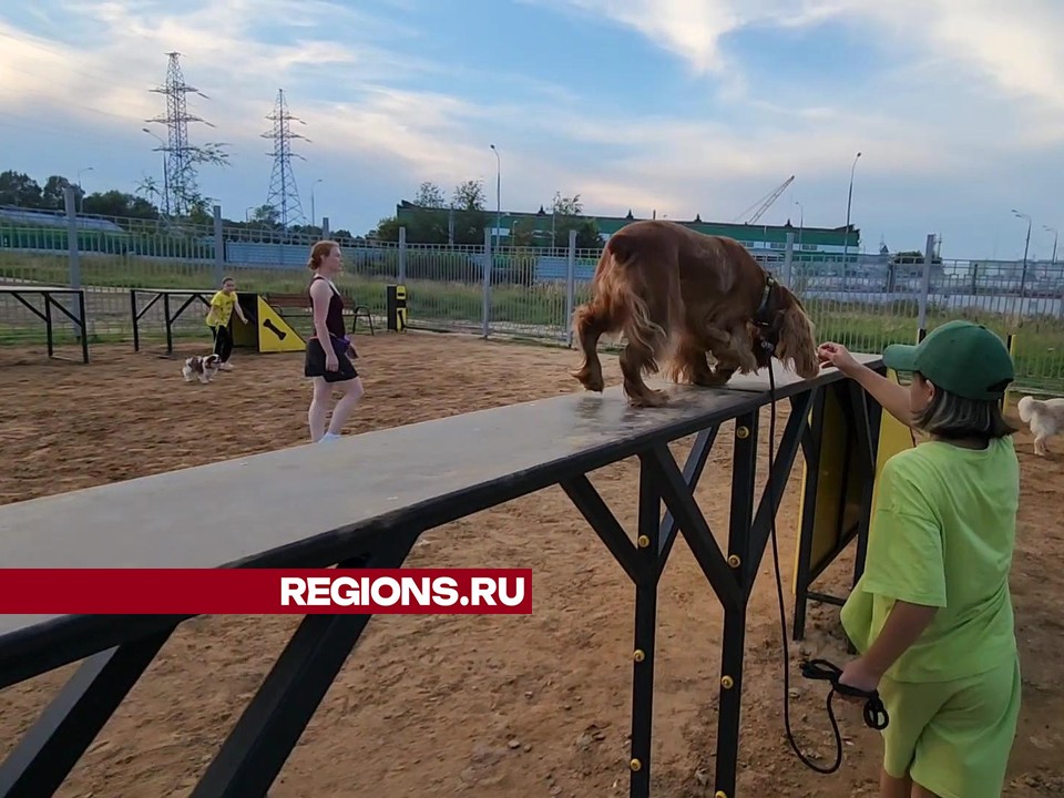 Фото: Никита Сморкалов