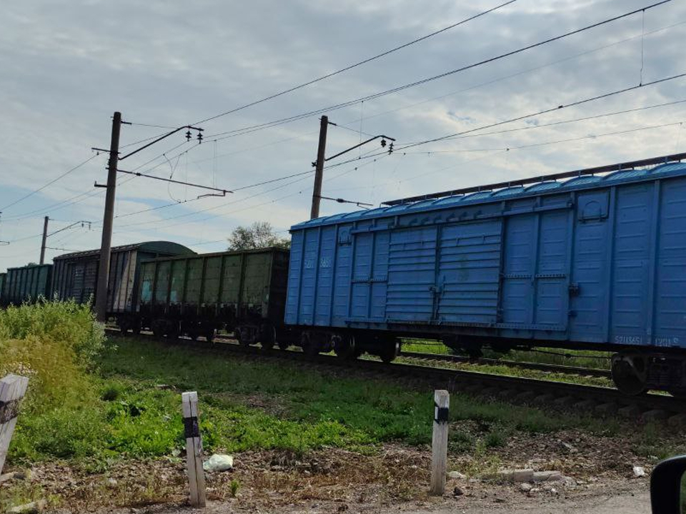 Фото: МедиаБанк Подмосковья/Надежда Гусарова