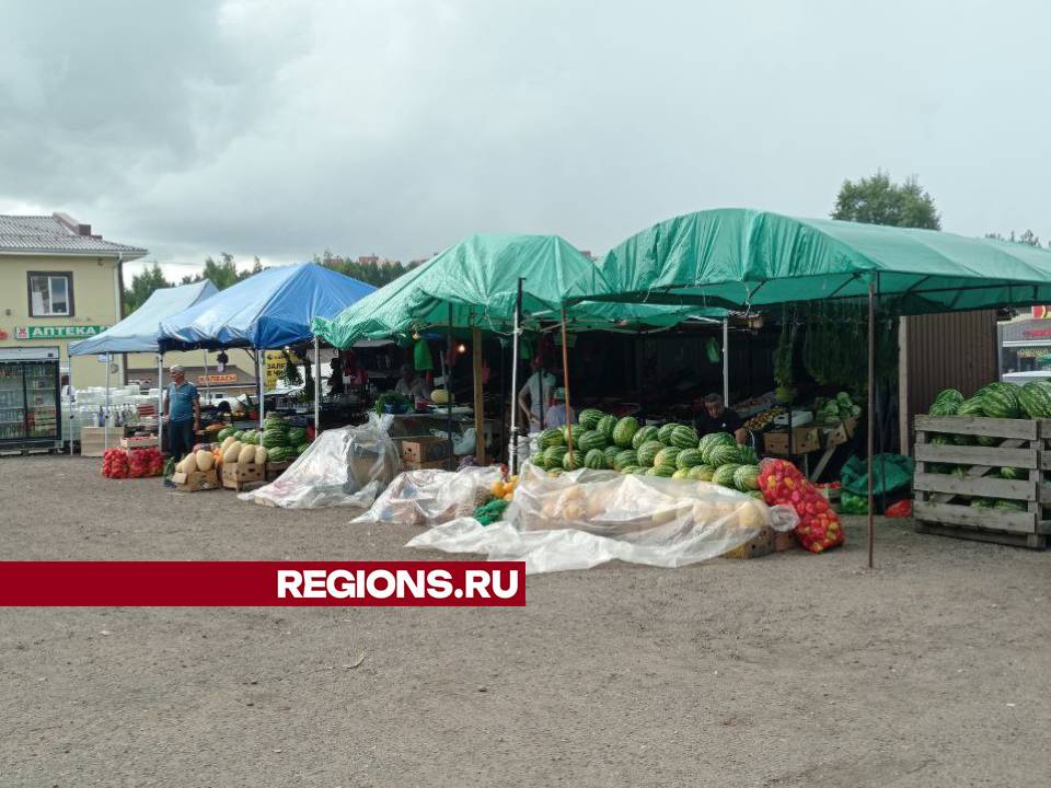 Фото: REGIONS/Наталья Иржанова