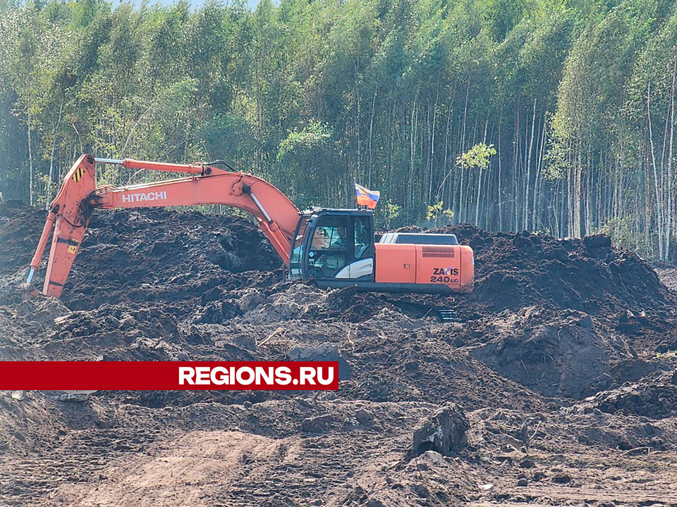 Фото: Анастасия Хренкова