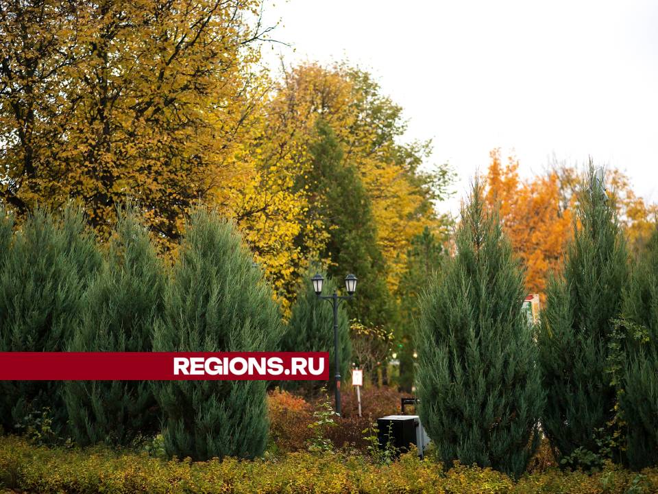 Фото: REGIONS/Ольга Пятикрестовская