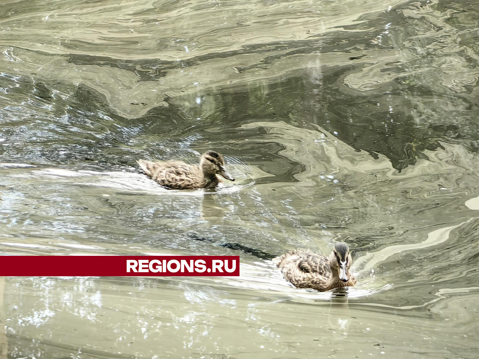 Фото: Елена Катасонова