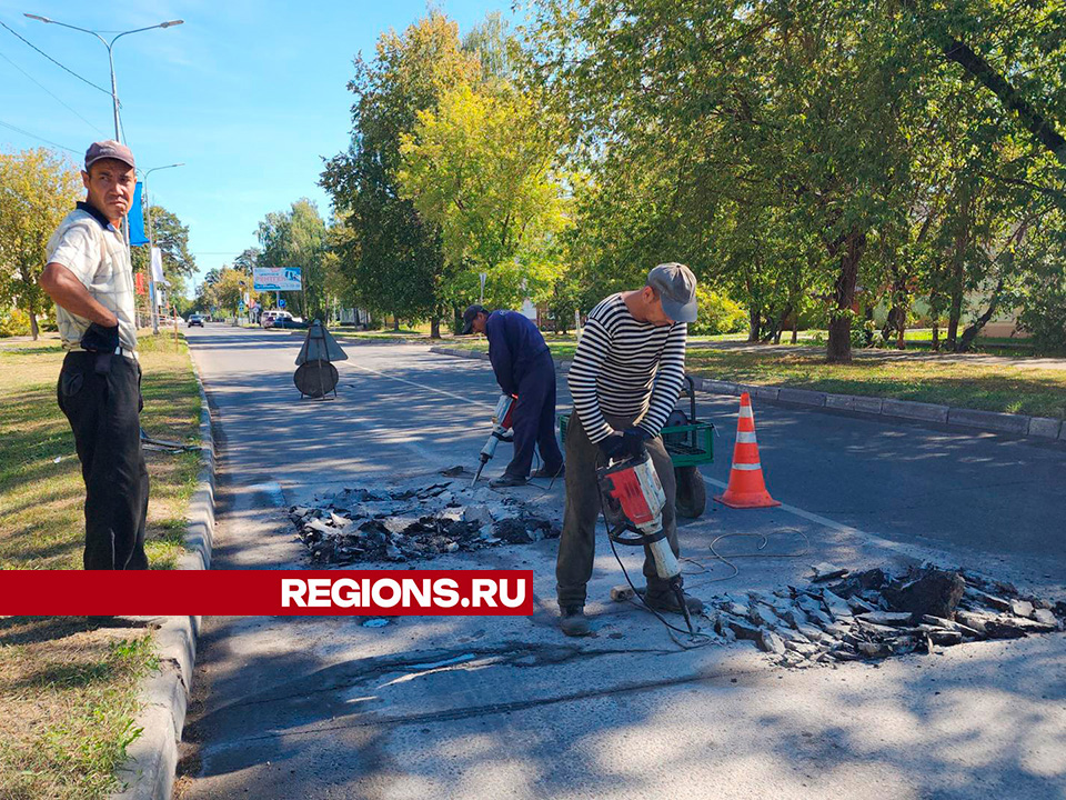 Фото: Михаил Мартыненко