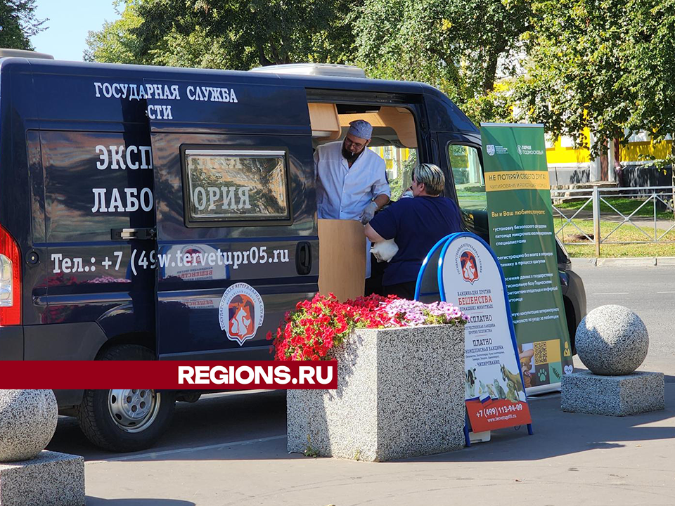 Фото: Андрей Семибратов